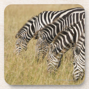 Posavasos África, Kenia, Maasai Mara