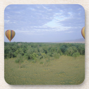 Posavasos África, Kenia, Reserva Nacional Masai Mara, 2