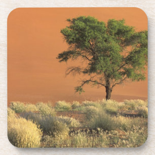 Posavasos África, Namibia, Parque Nacional Namib, Sossusvlei