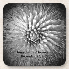 Posavasos Agave Spikes Nombre Personalizado B&W Set de 6