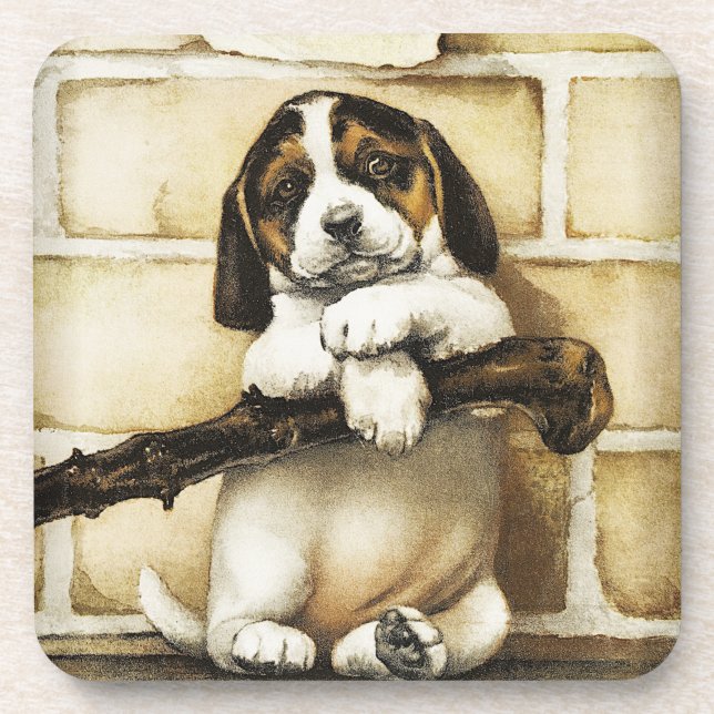 Posavasos Agradable Cachorro (Frente)