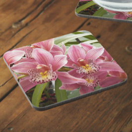 Posavasos Agradable Cimbidio Rosa Orquídeo Floral