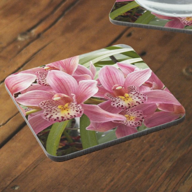 Posavasos Agradable Cimbidio Rosa Orquídeo Floral (In Situ)