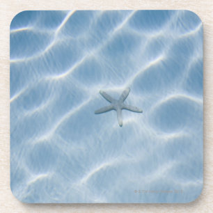 Posavasos Agua azul ondulada con las estrellas de mar