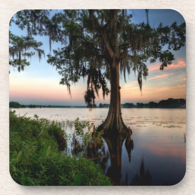 Posavasos Agua | Kraft Azalea Park Maitland Florida (Frente)