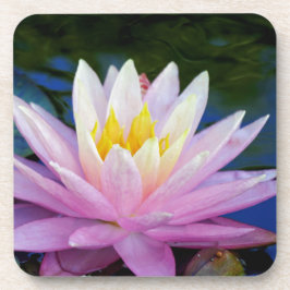 Posavasos Agua rosa suave