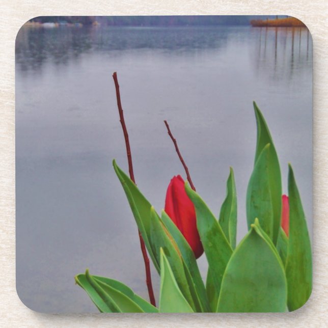 Posavasos Aguas de Arrowhead del Lago Azul de Tulipanes Rojo (Frente)
