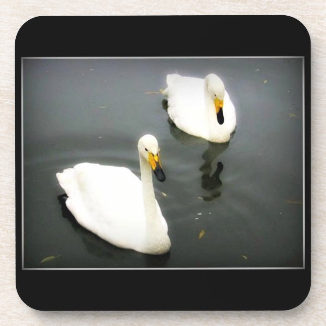 Posavasos Aguas negras de cisnes blancos (Frente)