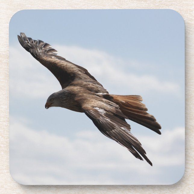 Posavasos Águila (Frente)