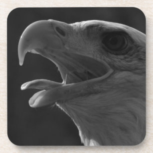 Posavasos Águila blanca y negra