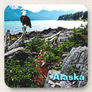 Posavasos Águila Calva En La Costa De Alaska