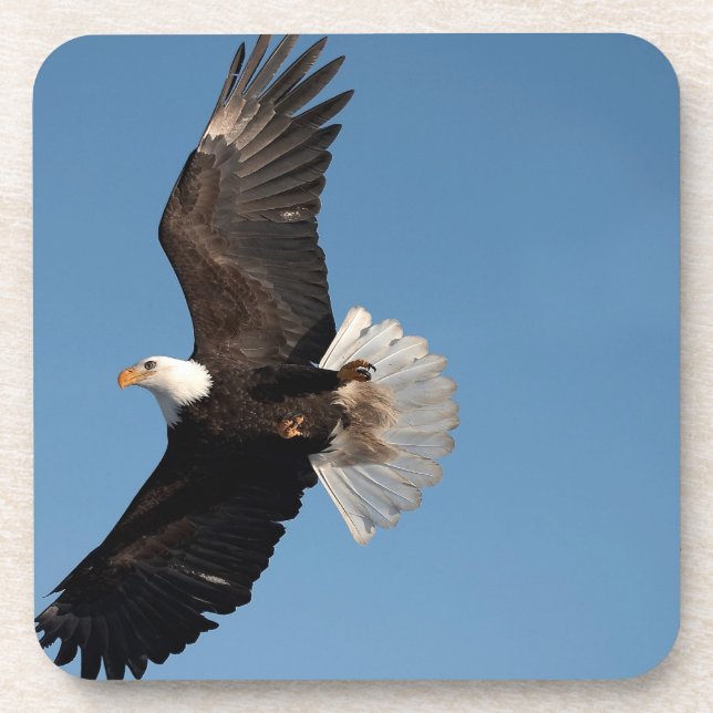 Posavasos Águila calva en vuelo (Frente)
