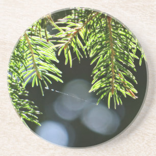 Posavasos Agujas de pino con bokeh