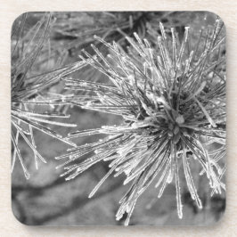 Posavasos Agujas de pino cubiertas con escarcha en blanco y 