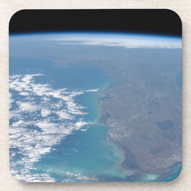 Posavasos Al Norte De La Península De Florida. (Frente)