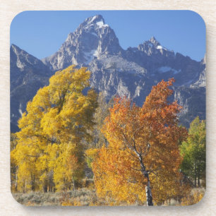 Posavasos Álamos con la cordillera Teton