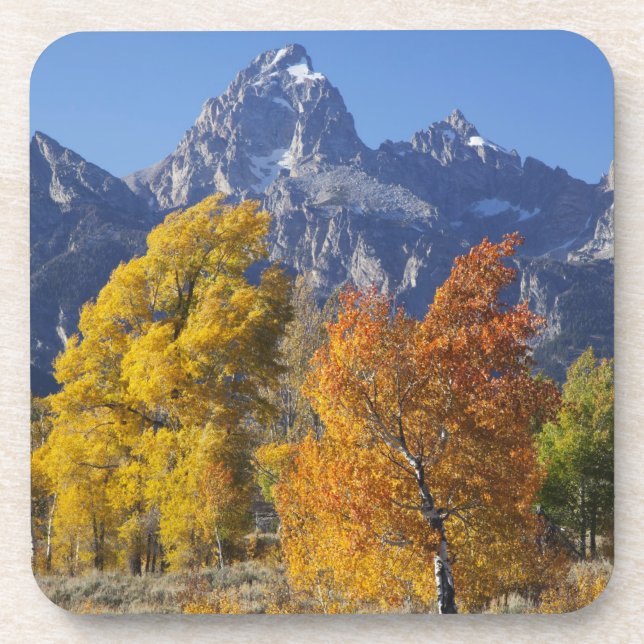 Posavasos Álamos con la cordillera Teton (Frente)