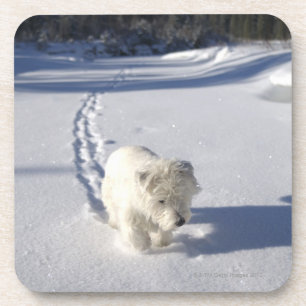 Posavasos Alberta, Canadá