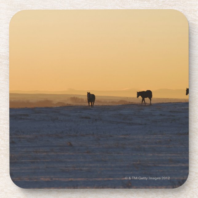 Posavasos Alberta, Canadá 3 (Frente)