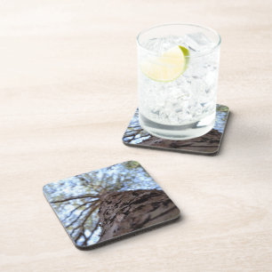 Posavasos Alcance alto por Shirley Taylor
