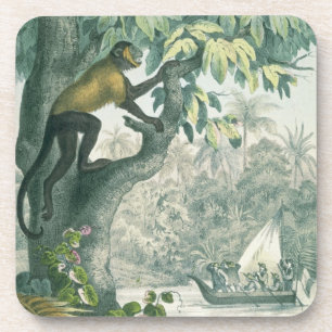 Posavasos Alcances superiores del Amazonas, del 'der del Das