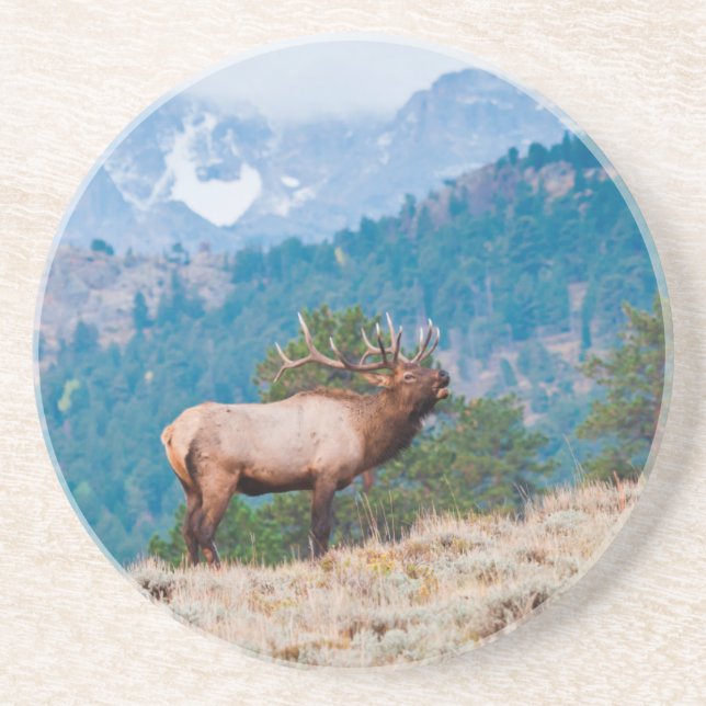 Posavasos Alce (Cervus Elephus) Toro Bugling (Frente)