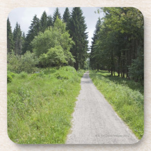 Posavasos Alemania, Thuringia, trayectoria en bosque