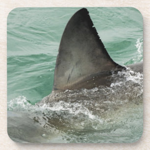 Posavasos Alerón dorsal de un gran tiburón blanco