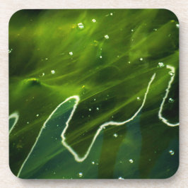 Posavasos Algas verdes y coastercna acuática