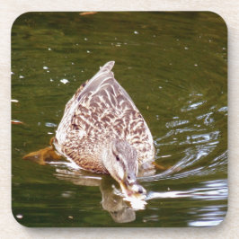 Posavasos Alimentación de pato