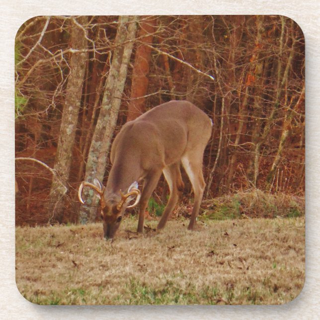 Posavasos Alimento de ciervos de buck de camuflaje rojo (Frente)