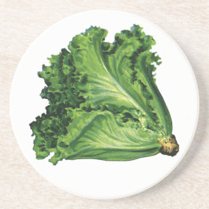 Posavasos Alimentos Antiguos, Verduras de Lechuga de Hoja Ve