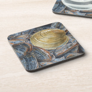 Posavasos Almejas y concha de Quahog