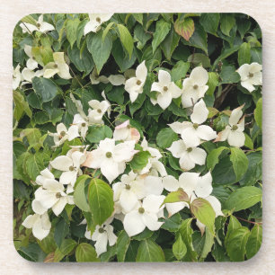 Posavasos Almohada de lanzamiento botánico de flor blanca be