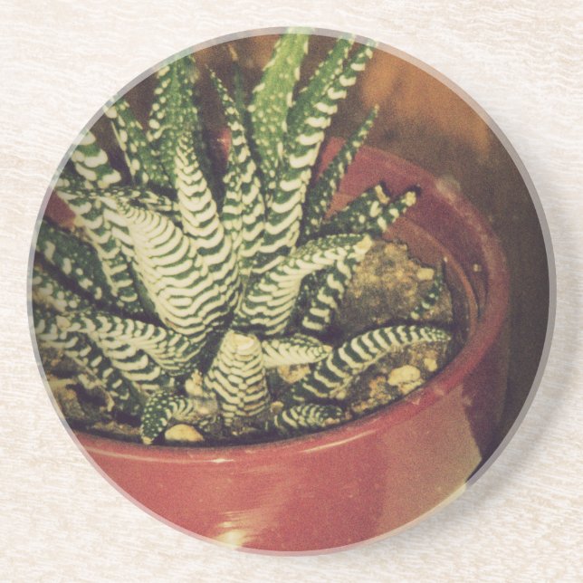 Posavasos aloe (Frente)