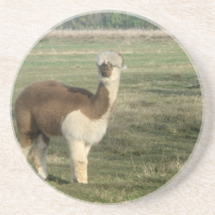 Posavasos Alpaca femenina