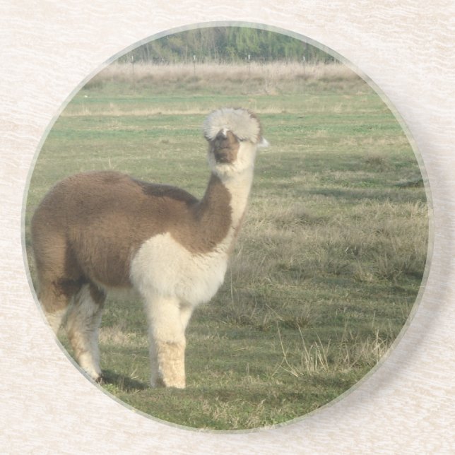 Posavasos Alpaca femenina (Frente)