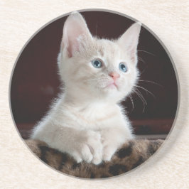 Posavasos Amantes de la montaña rusa gatos , para chicas / r