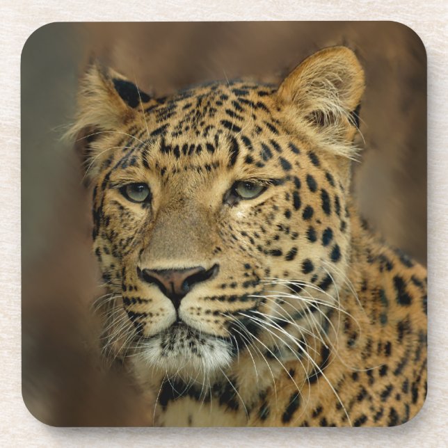Posavasos Amantes del arte de leopardo (Frente)