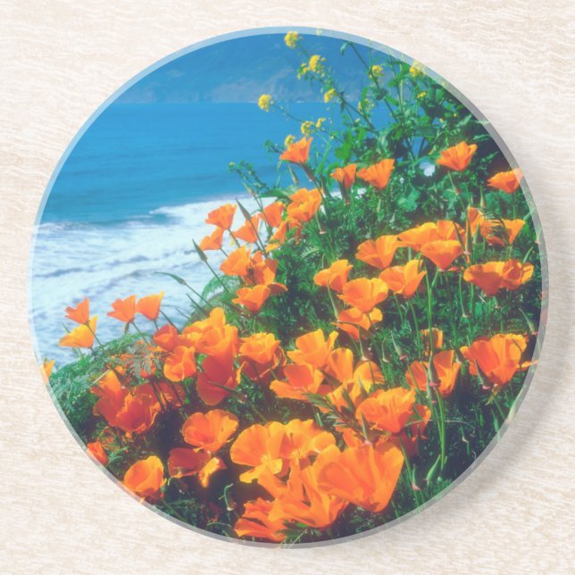 Posavasos Amapolas a lo largo de la Costa Pacífica cerca de  (Frente)