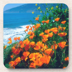 Posavasos Amapolas a lo largo de la Costa Pacífica cerca de 
