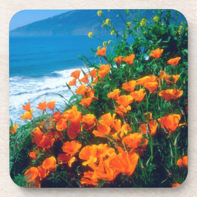Posavasos Amapolas a lo largo de la Costa Pacífica cerca de  (Frente)