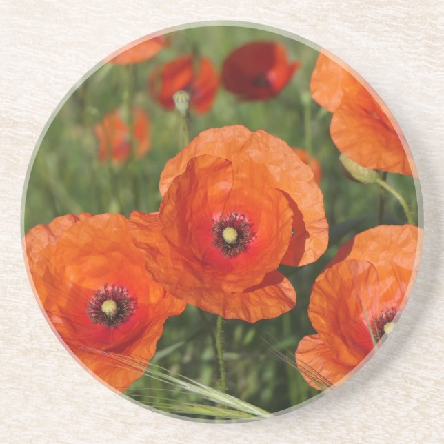 Posavasos Amapolas comunes (Frente)
