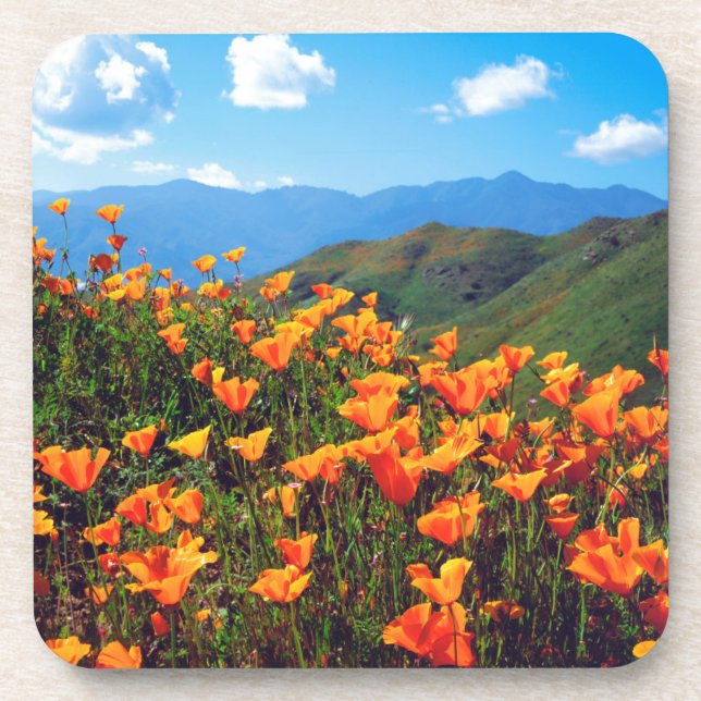 Posavasos Amapolas de California cubriendo una ladera (Frente)