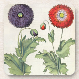 Posavasos Amapolas: incarnato del multiplici del flore
