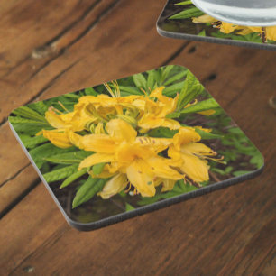 Posavasos Amarillo Azalea florece la montaña de bebidas flor