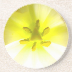Posavasos Amarillo brillante dentro de una escoria de piedra