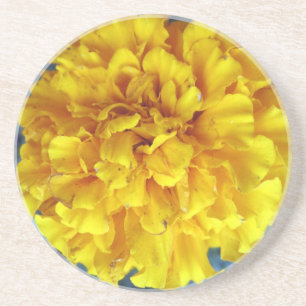 Posavasos Amarillo Marigold