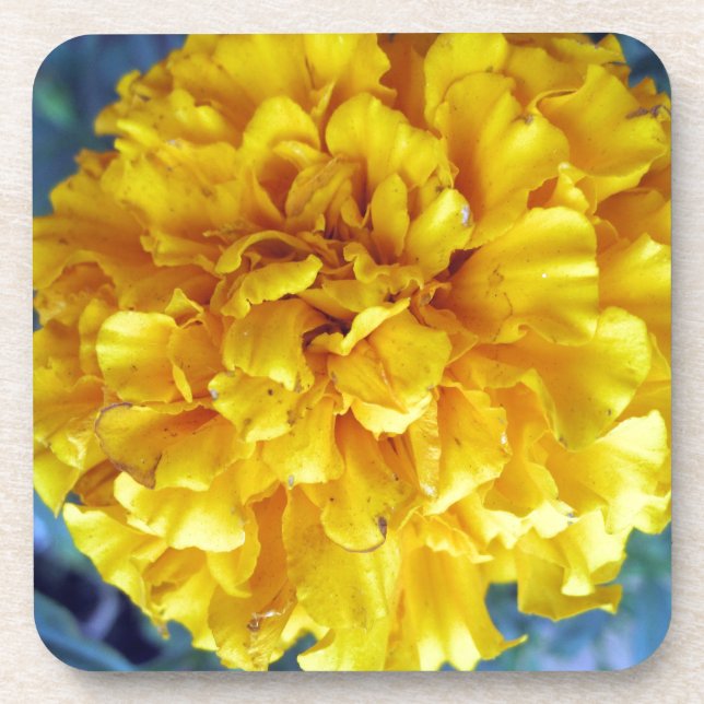 Posavasos Amarillo Marigold (Frente)