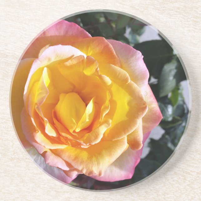 Posavasos amarillo y rosa (Frente)